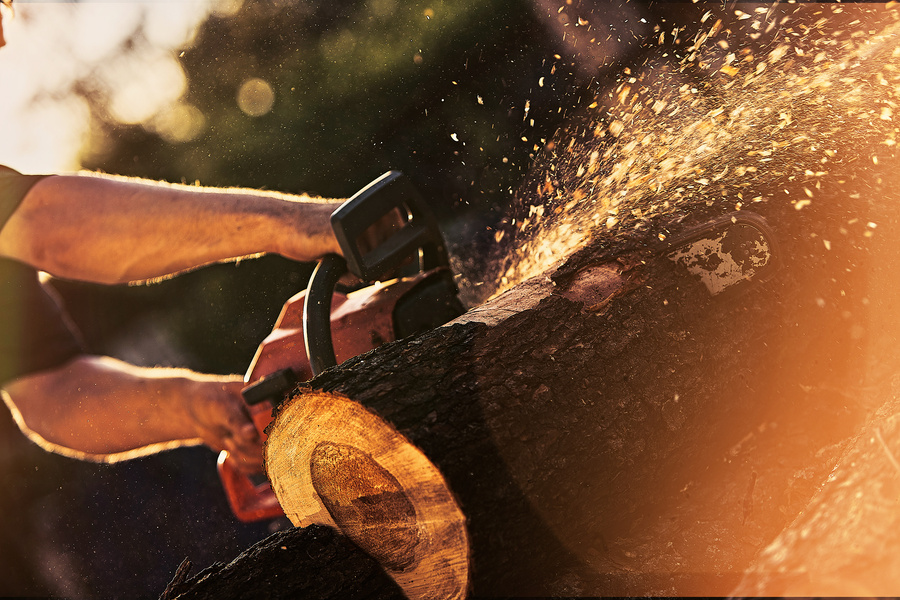  Chainsaw Cuts Firewoods 
